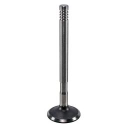 Exhaust Valve
