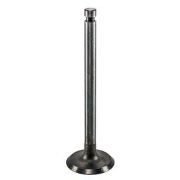 Intake Valve