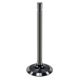 Intake Valve