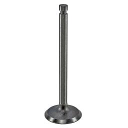 Intake Valve