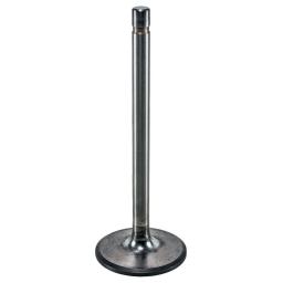 Intake Valve