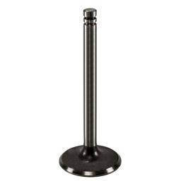 Intake Valve