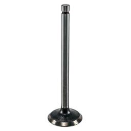 Intake Valve
