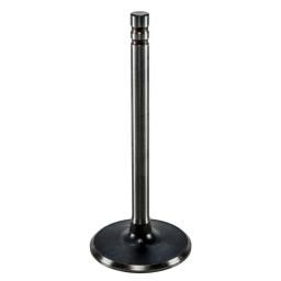 Intake Valve