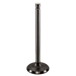 Intake Valve