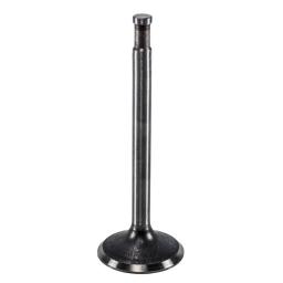 Intake Valve