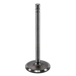 Intake Valve