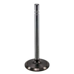 Intake Valve