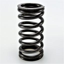Valve Spring