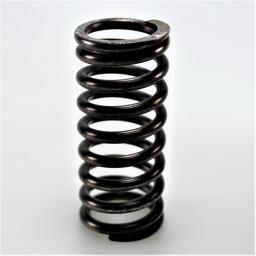 Valve Spring