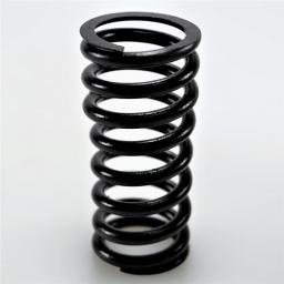 Valve Spring