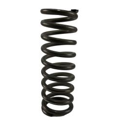 Valve Spring