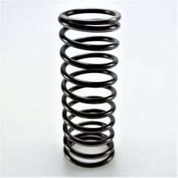 Valve Spring