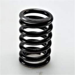Valve Spring