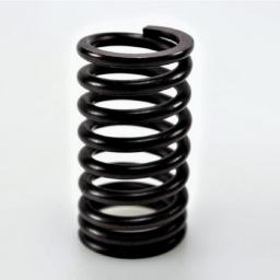 Valve Spring