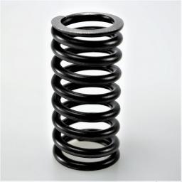 Valve Spring