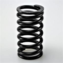Valve Spring