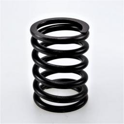 Valve Spring
