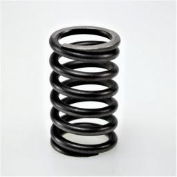 Valve Spring
