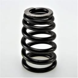 Valve Spring