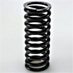 Valve Spring