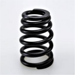 Valve Spring