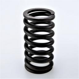 Valve Spring