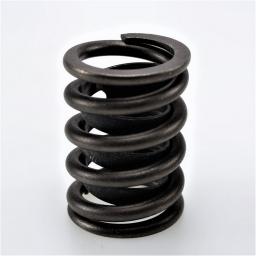 Valve Spring