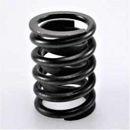 Valve Spring