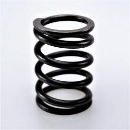 Valve Spring