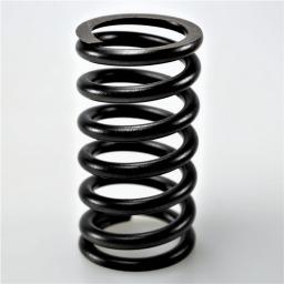 Valve Spring