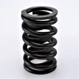 Valve Spring