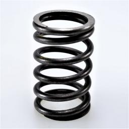 Valve Spring