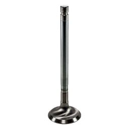 Exhaust Valve