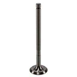 Exhaust Valve
