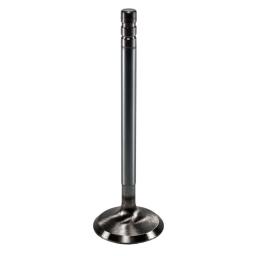 Intake Valve