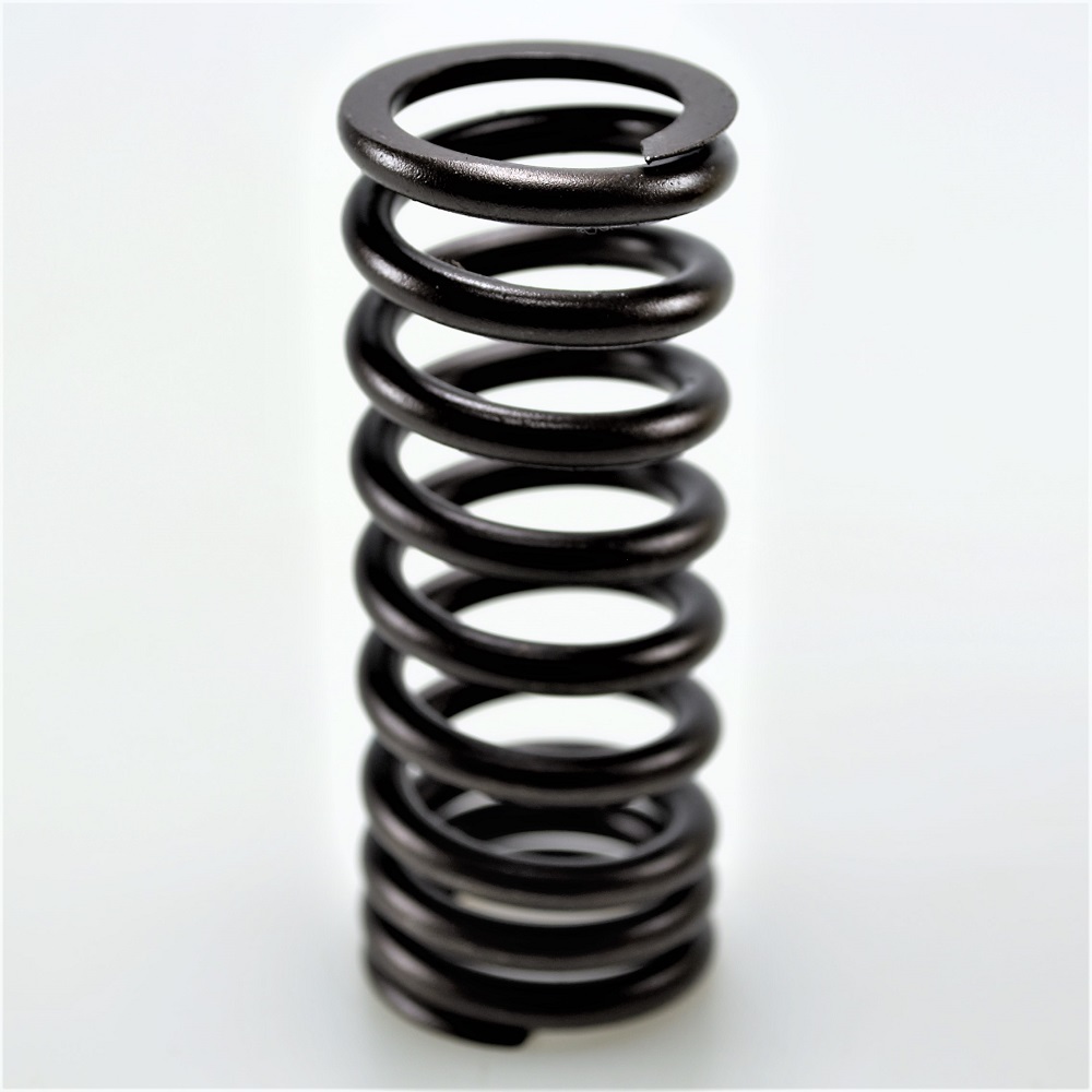 rv526 valve springs